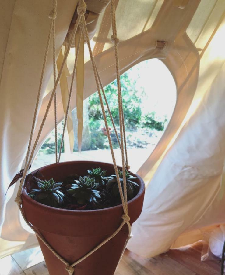 Tipi Lodge Dans La Foret Mimizan Exterior foto