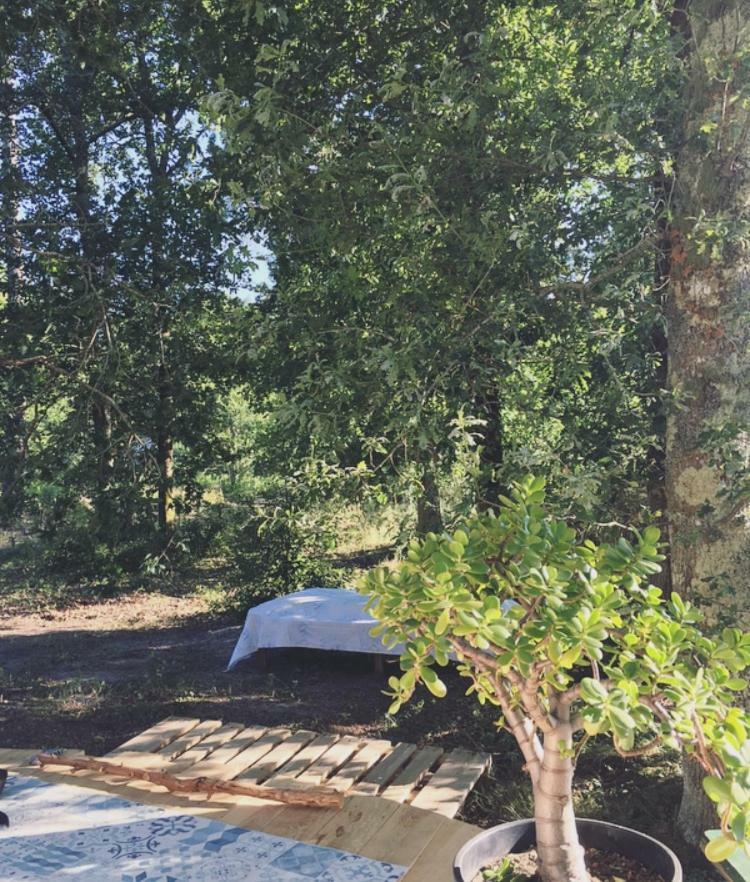 Tipi Lodge Dans La Foret Mimizan Exterior foto